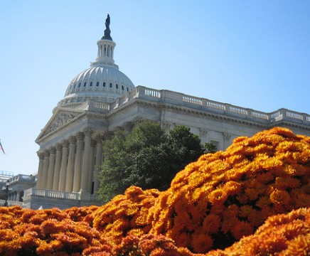 capitol hill