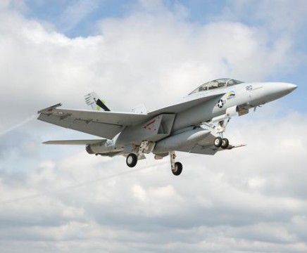 green hornet in flight