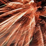 fireworks JefClarkArt