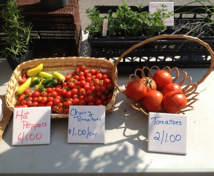 fresh produce at Maker's Market at Ann Marie Sculpture Garden & Art Center