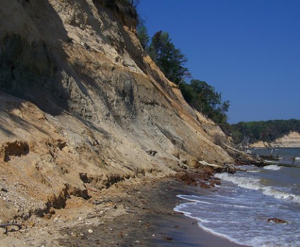 Calvert Cliffs