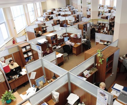 office workers