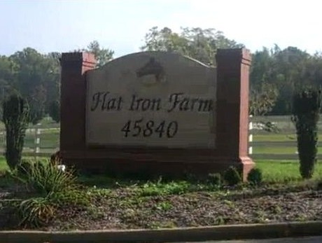 2-Day Auction Planned at Flat Iron Farm