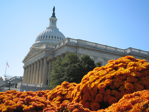 capitol hill