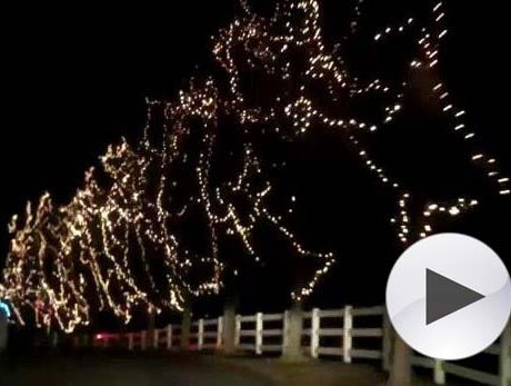Flat Iron Farm Christmas lights