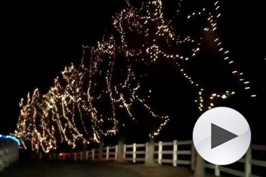 Flat Iron Farm Christmas lights