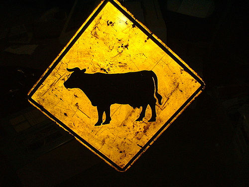 cow sign