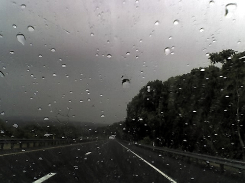 rain windshield