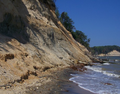 Calvert Cliffs