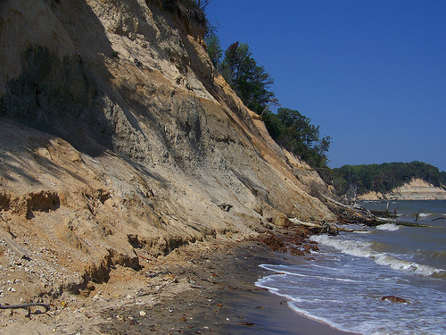 Calvert Cliffs