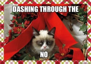 grumpy bitter cat christmas dashing