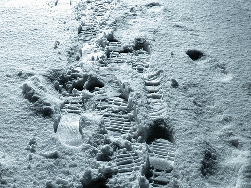 snow footprint