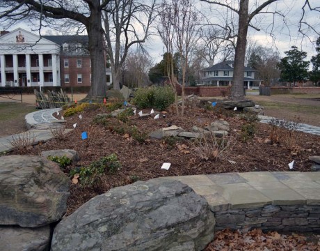 Trinity Episcopal Church landscaping