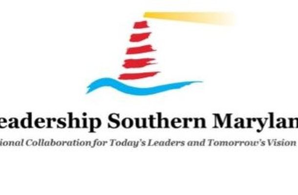 LSM horizontal logo