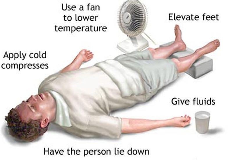 Summer Temps Can Cause Heat Stroke LexLeader