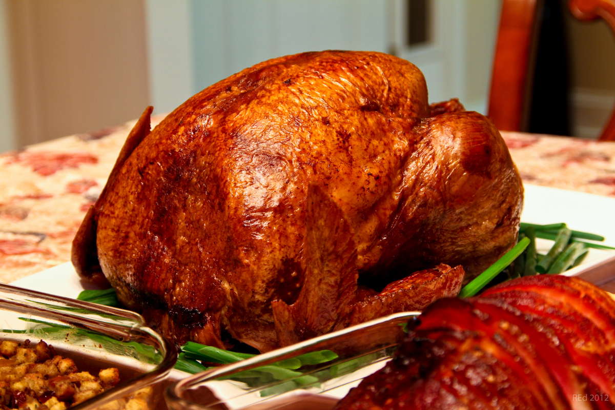thanksgiving turkey large