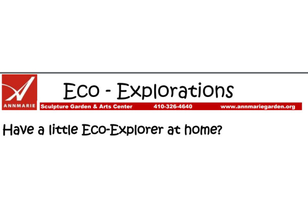 Kids Explore Nature at Annmarie Eco-Exploration