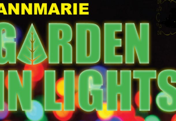 Garden In Lights Open to Pets