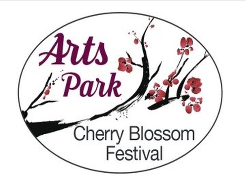 cherry blossom festival