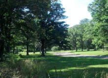 tree museum