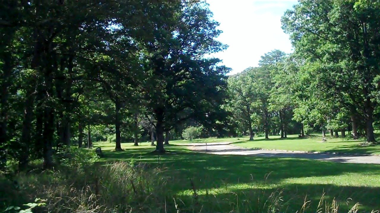 The Flattops Evolve: Into a Tree Museum LexLeader