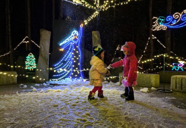 Garden in Lights