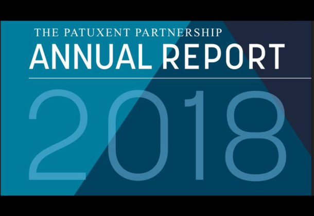 Annual Report