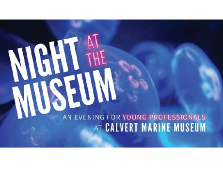 Young Professionals Can Enjoy Night at the Museum