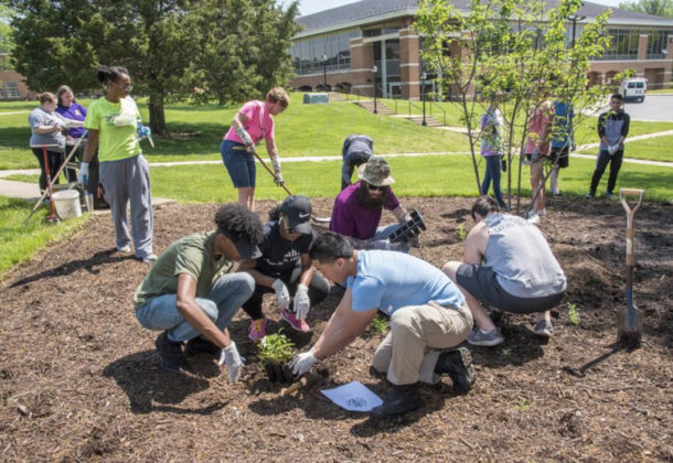 Award Recognizes College's Green Practices LexLeader