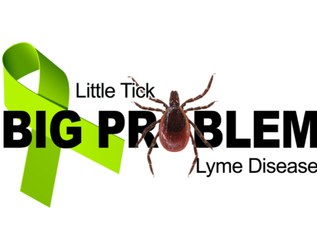 Tick-Borne Diseases