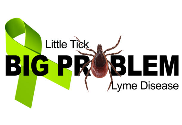 Tick-Borne Diseases