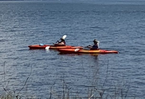 Kayak