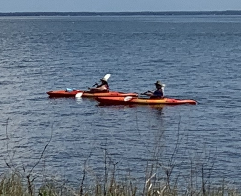 Piney Point Lighthouse Kayak Launch Open LexLeader