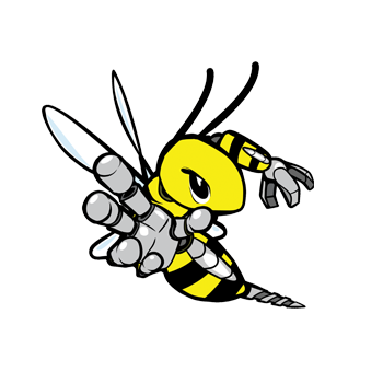 RoboBees