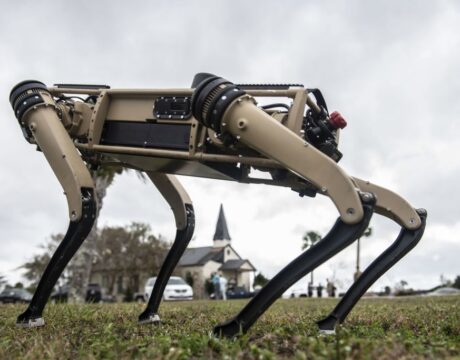 robotic dogs