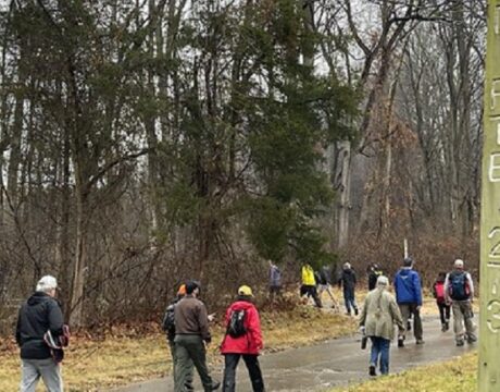 First Day Hikes