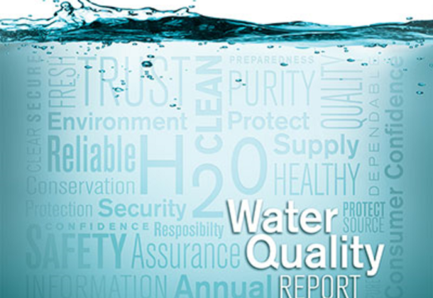 water quality report