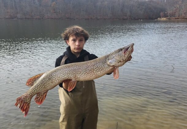 Angler