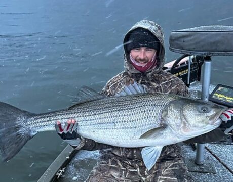 Master Angler