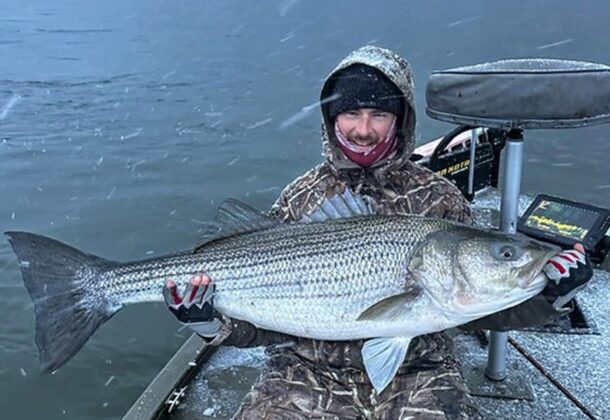 Master Angler