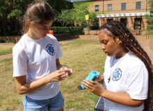 Solar Cell STEM