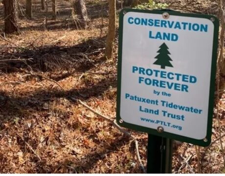 Easement