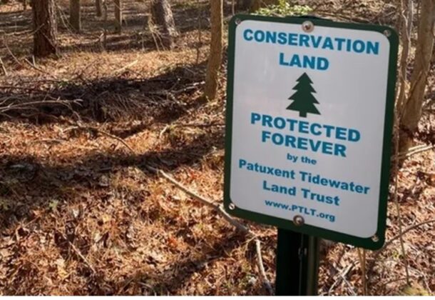 Easement