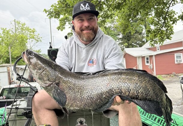 Snakehead