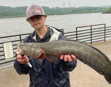 Master Angler
