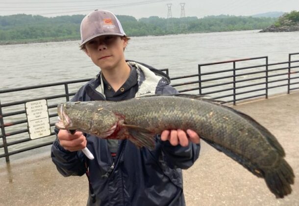 Master Angler