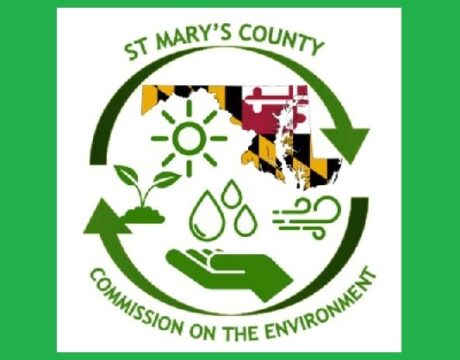 Sustainability Awards