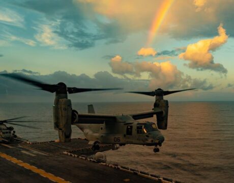 Osprey