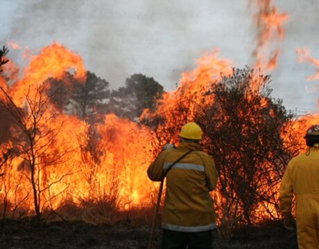 Fire