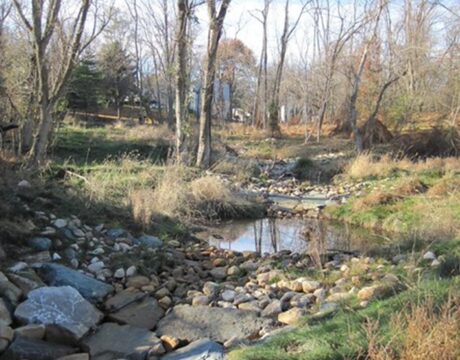 Backyard Buffer